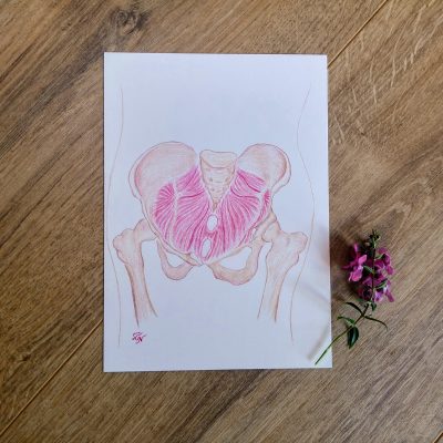 איור 'קערת האגן מלמעלה' בגלויה